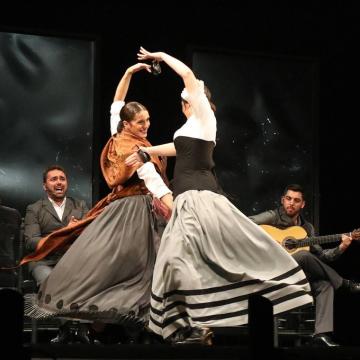 ARTE FLAMENCO 