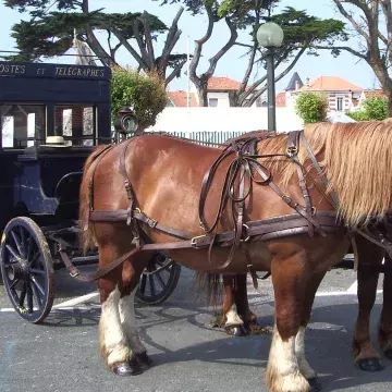Voyagez dans les années 1900 à Soulac sur mer