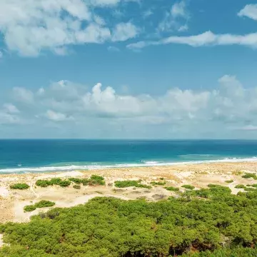 Les plus belles plages de Biscarrosse proche des campings Siblu