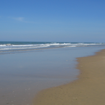 Les camping proches des plages de Royan et la Palmyre