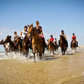 camping et équitation