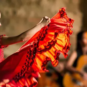 flamenco