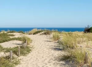 800x600-Gironde-Teaser
