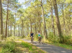 Camping Landes Plage Vélo