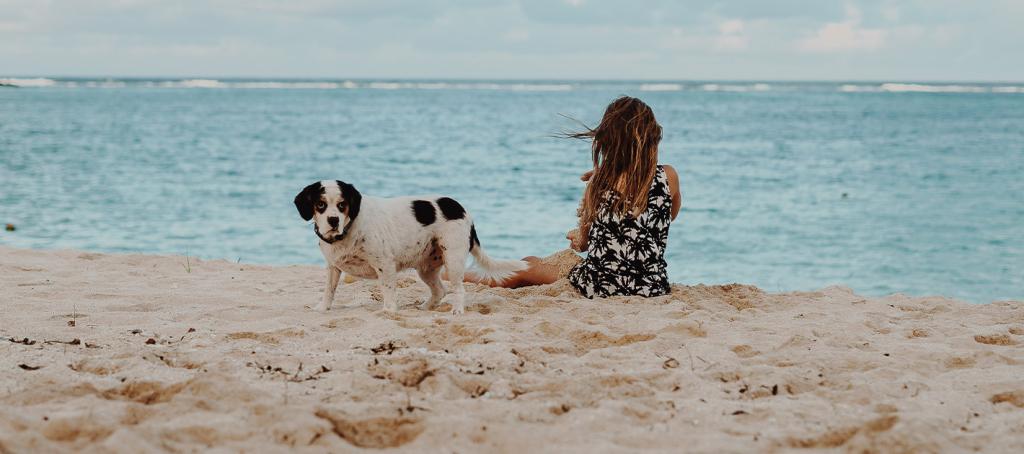 Profiter du calme de la méditerranée avec son chien au alentour du camping Siblu Le Mar Estang