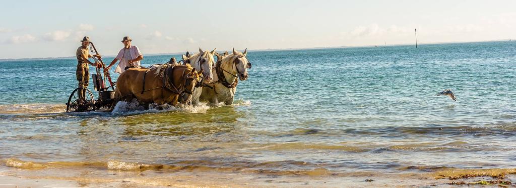 Des activités sur la plage proche de la plage du Conguel