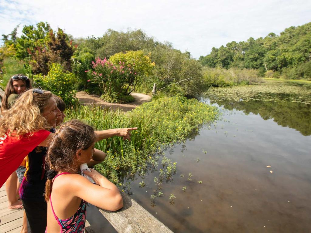 Les parfaites activités à faire en famille au camping Siblu Village Le Lac à Mimizan 2