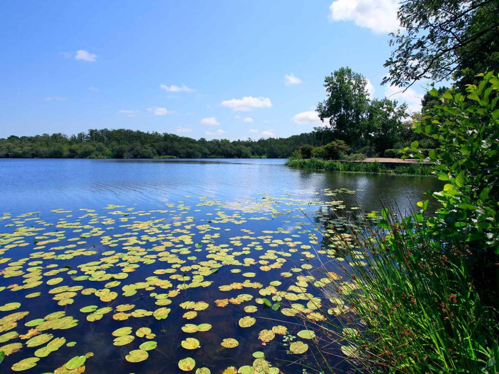 Les parfaites activités à faire en famille au camping Siblu Village Le Lac à Mimizan 3