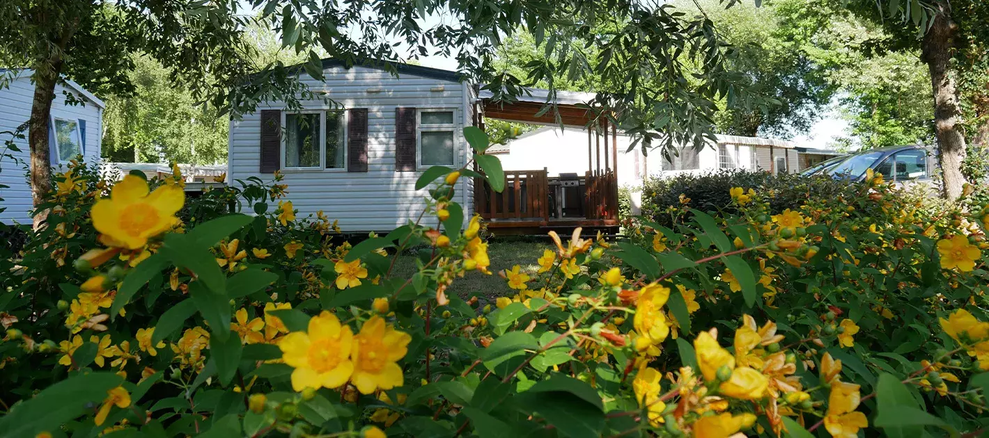 Mobil Home Bois Masson