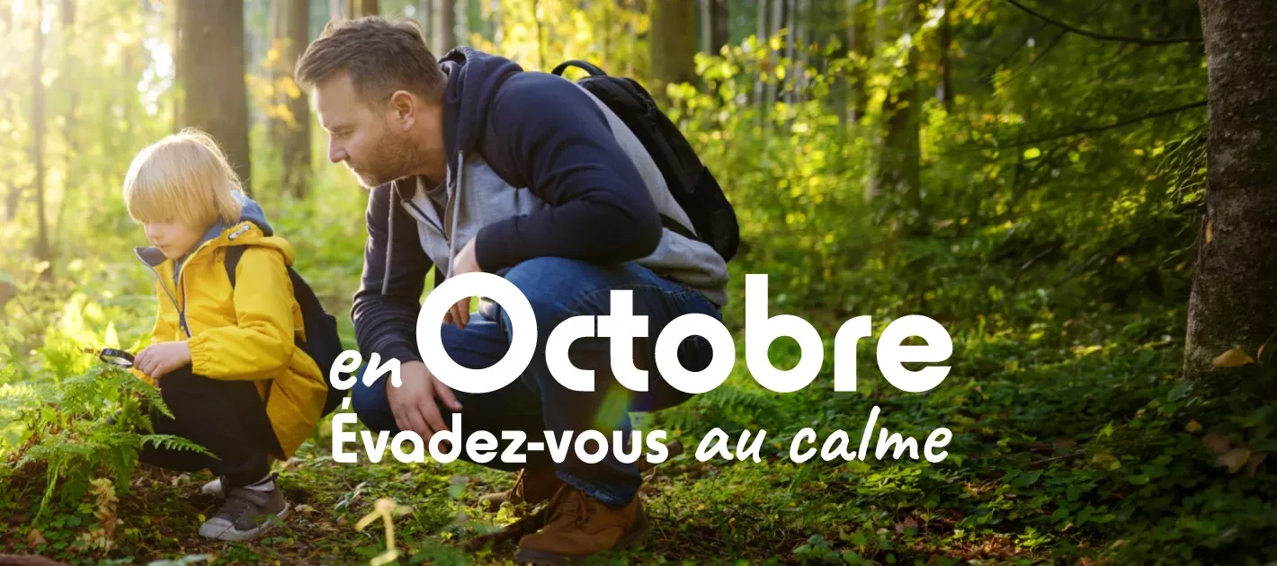 Camping en octobre