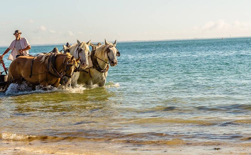 Des activités sur la plage proche de la plage du Conguel