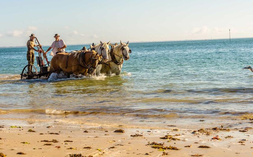 Les parfaites activités à faire en famille au camping Siblu Villages Le Conguel 3